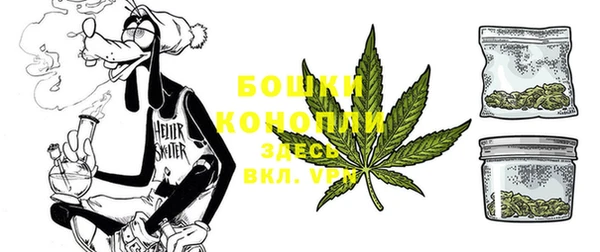 PSILOCYBIN Белоозёрский