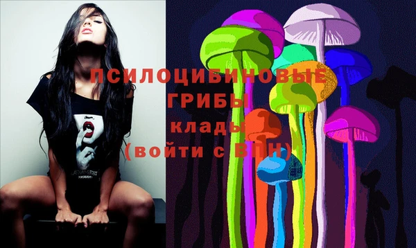 PSILOCYBIN Белоозёрский