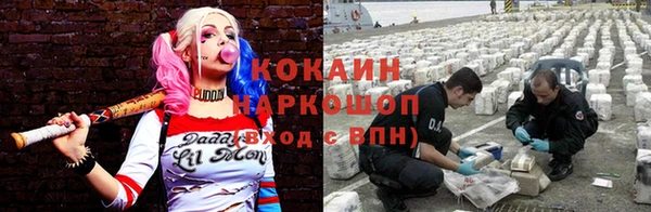 трава Беломорск