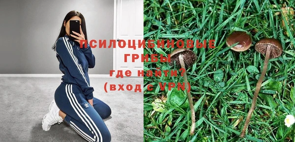 PSILOCYBIN Белоозёрский
