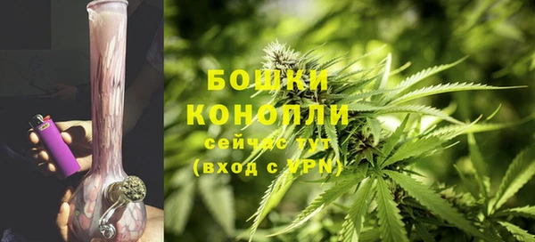 трава Беломорск