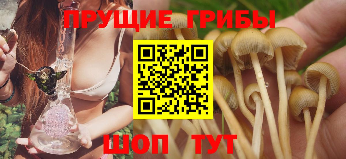 Галлюциногенные грибы прущие грибы Горно-Алтайск