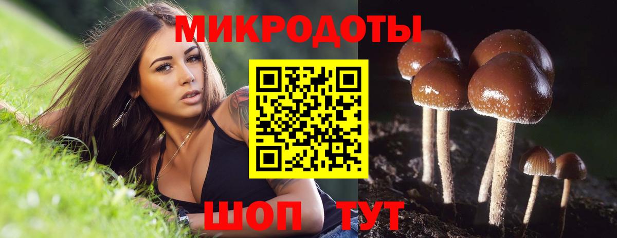 Галлюциногенные грибы Psilocybe  Вход с VPN  наркошоп  Горно-Алтайск 